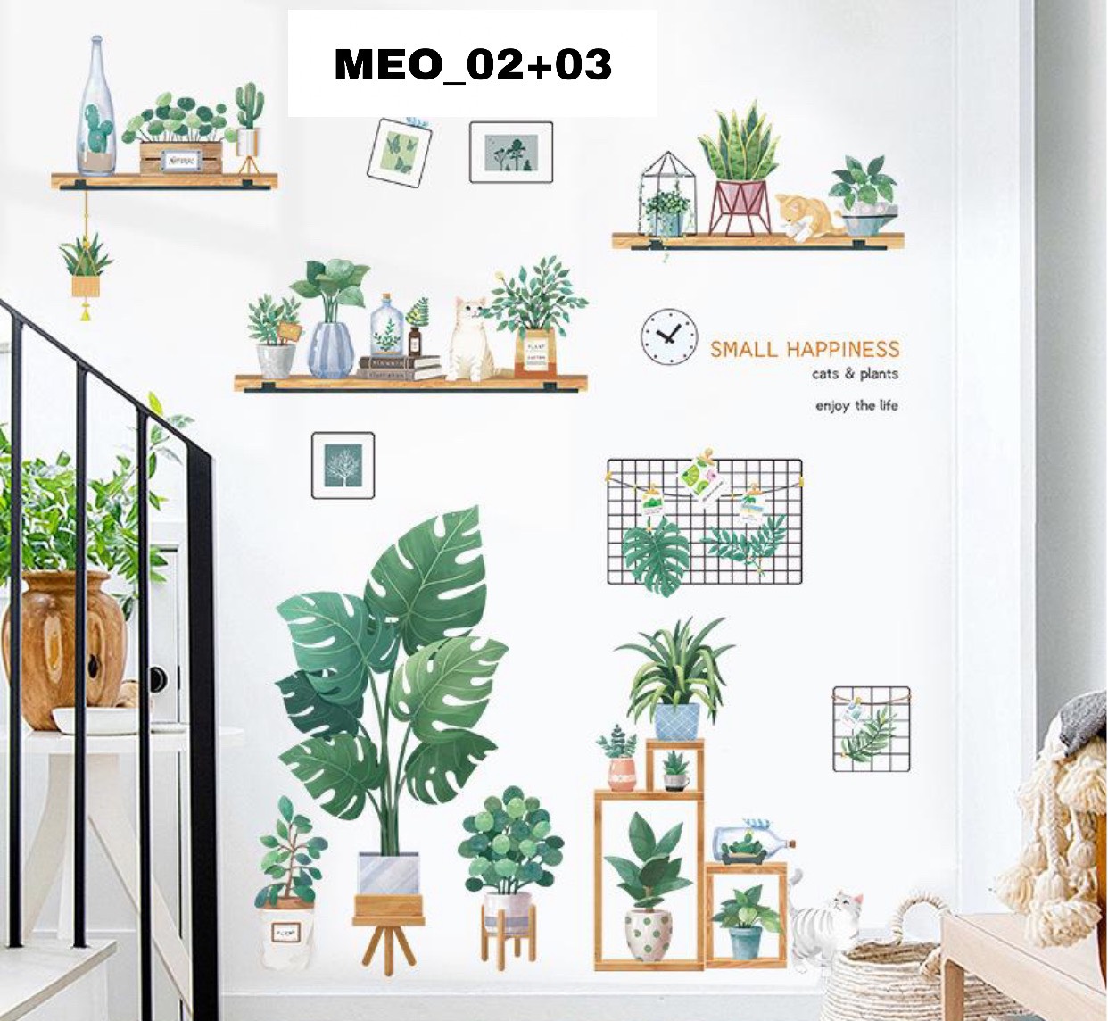 COMBO CHẬU CÂY MÈO 2 3