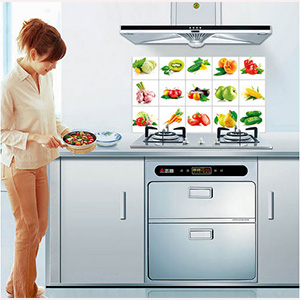 DÁN BẾP ĐỦ LOẠI TRÁI CÂY 45X75CM 