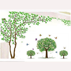 COMBO CÂY 6 KIỂU BỘ 3 CÂY XANH