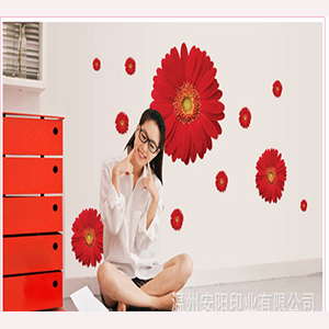 CÚC ĐỒNG TIỀN ĐỎ