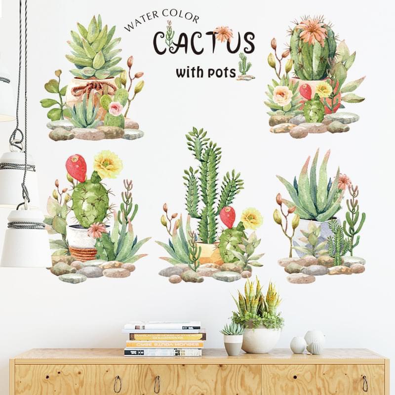 5 CÂY XƯƠNG RỒNG