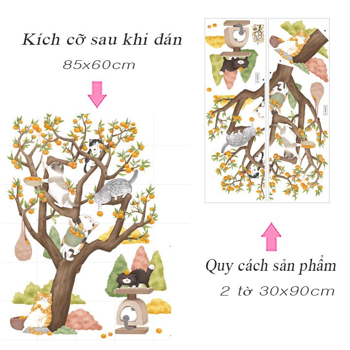 CÂY QUẢ MÈO CAM