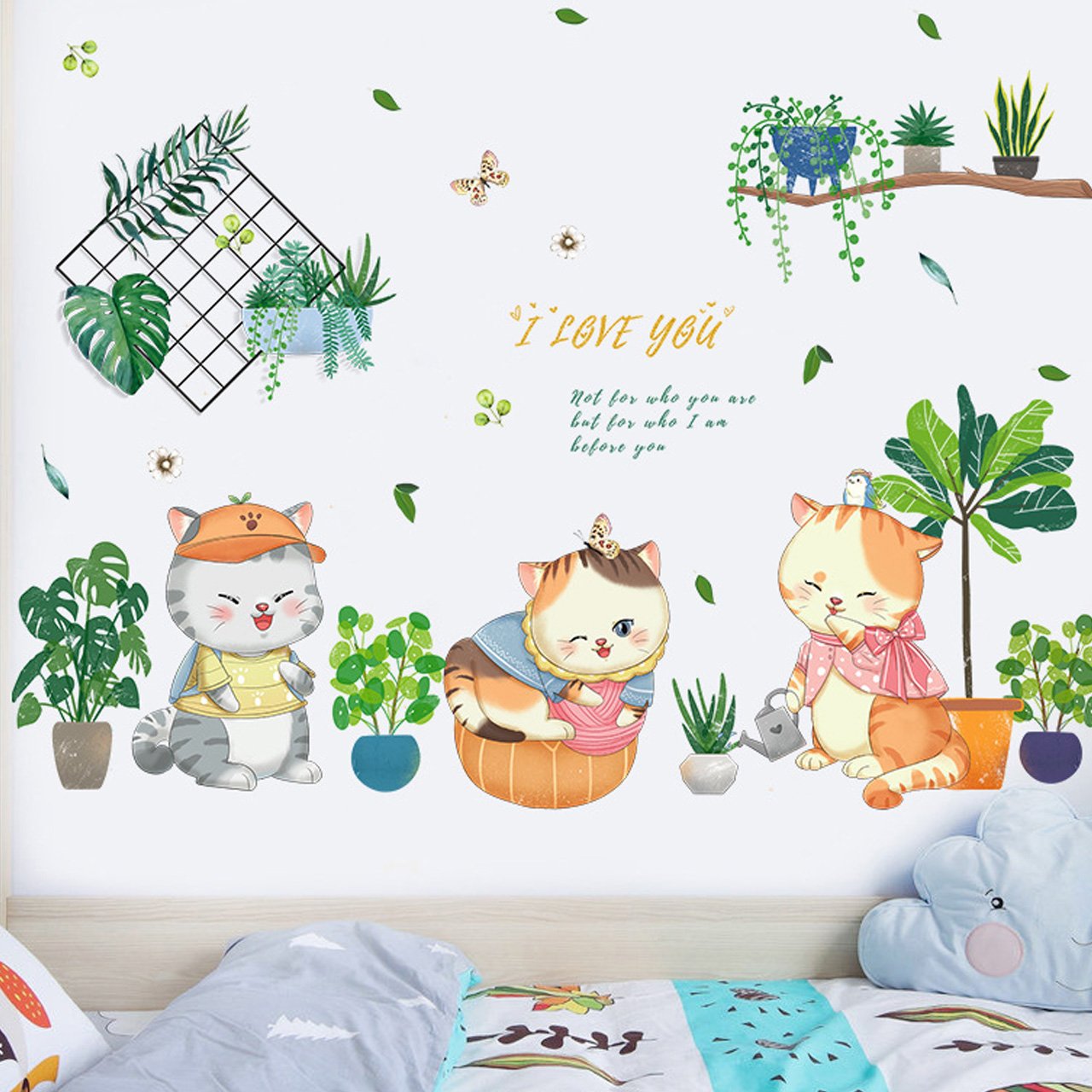 CHẬU CÂY MÈO 4 