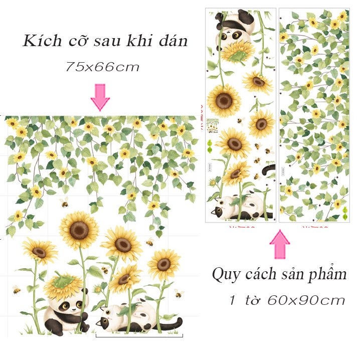 HƯỚNG DƯƠNG VÀ GẤU TRÚC