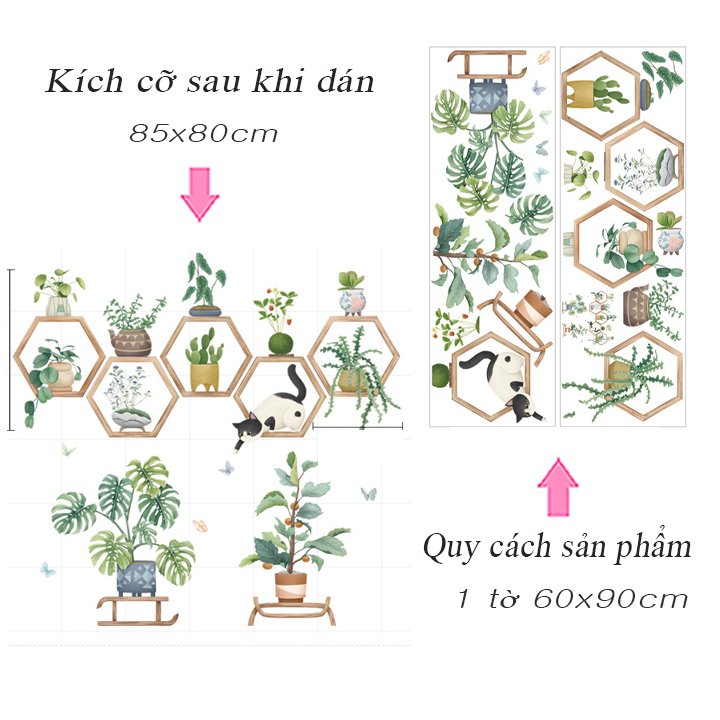CHẬU CÂY VÀ Ô LỤC GIÁC GỖ 