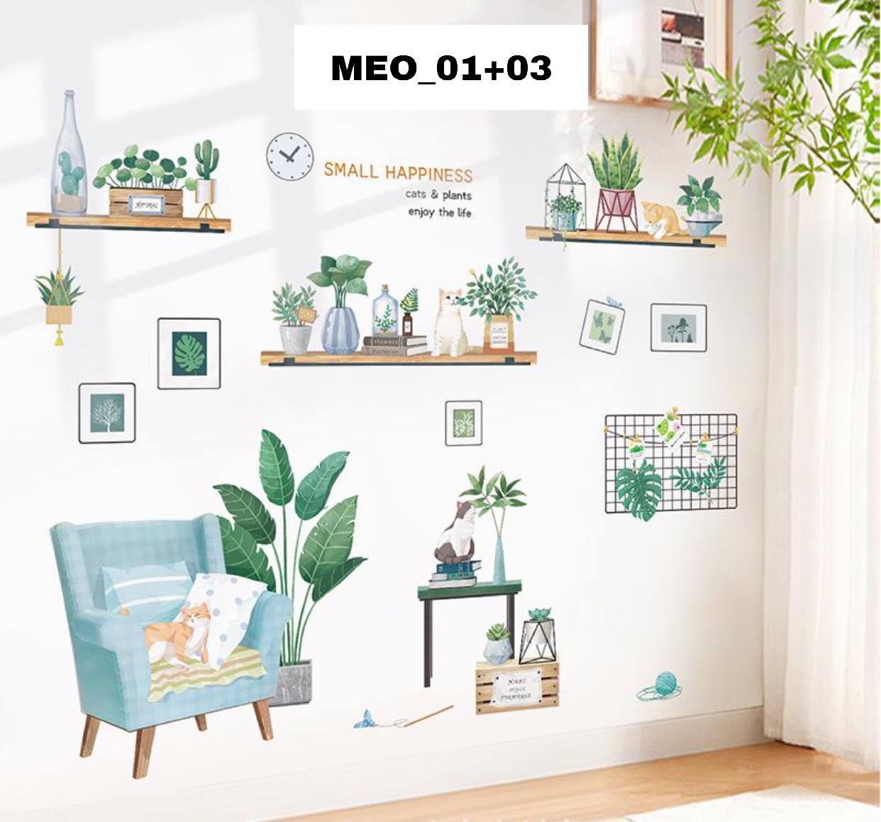COMBO CHẬU CÂY MÈO 1 3 