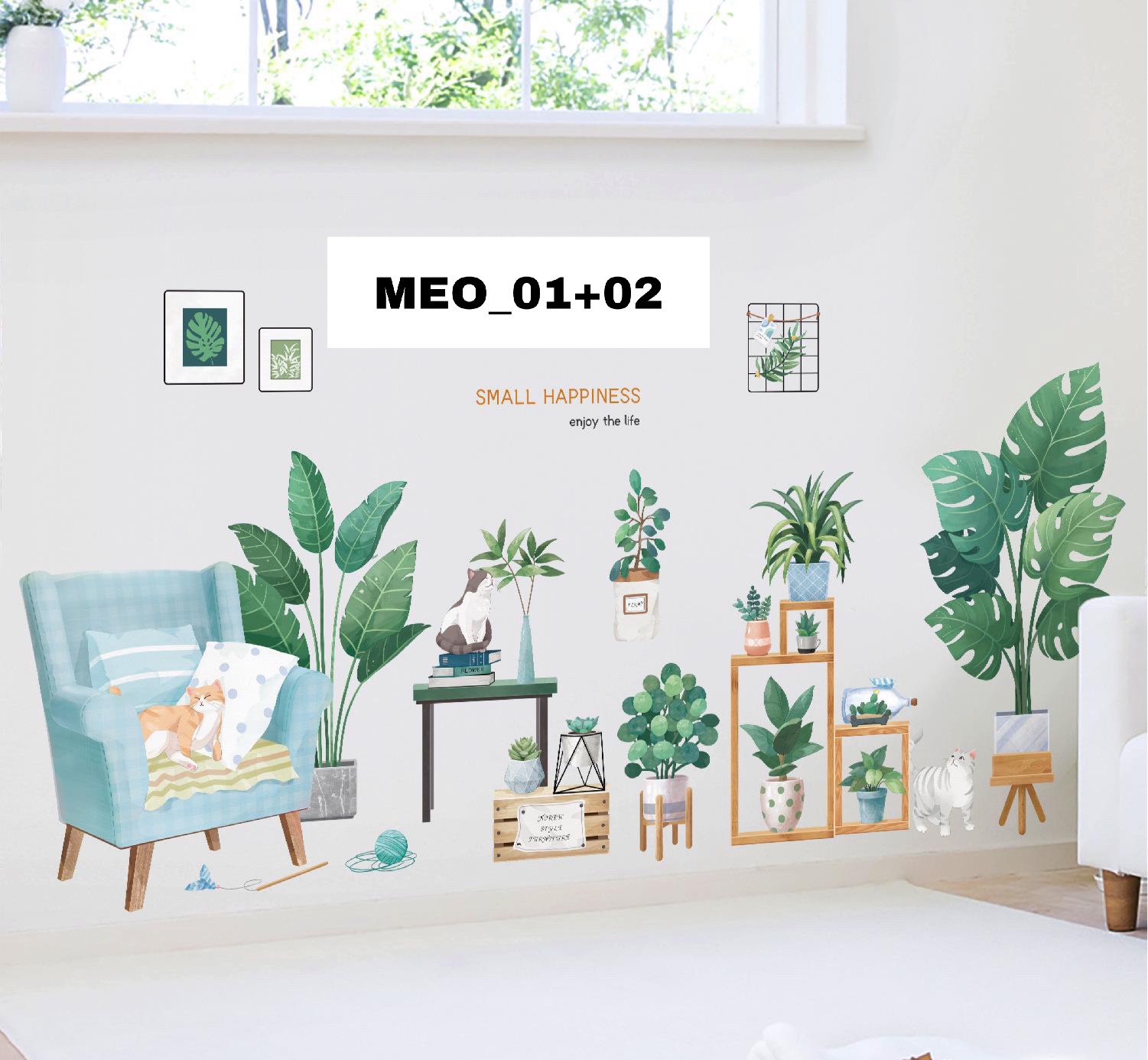 COMBO CHẬU CÂY MÈO 1 2 