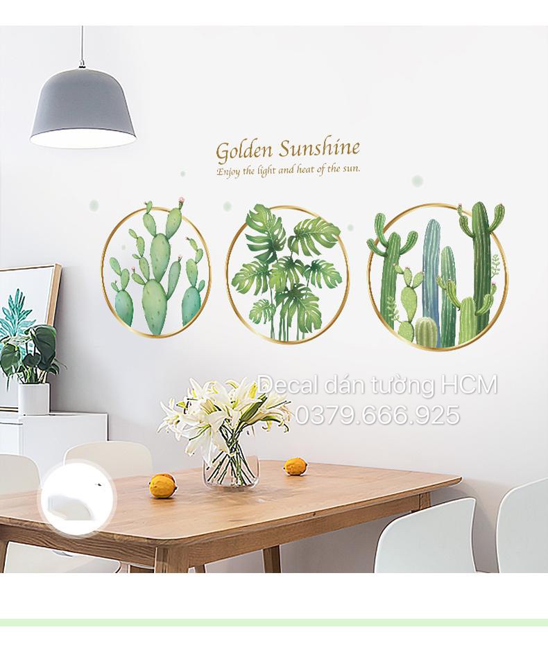 3D 3 Ô TRÒN XƯƠNG RỒNG 