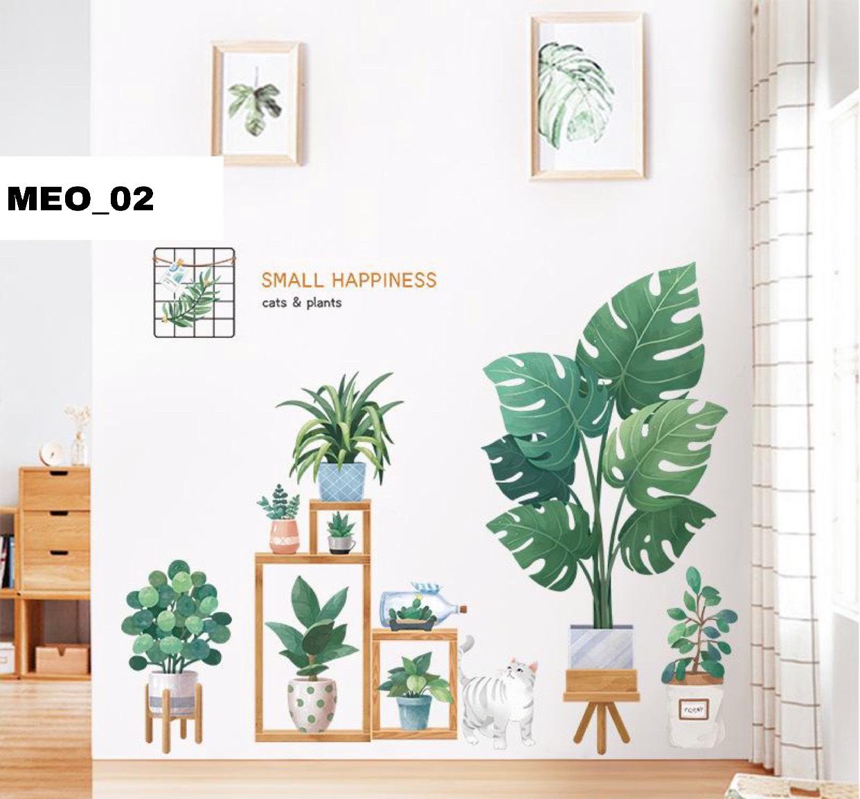 CHẬU CÂY MÈO 2 
