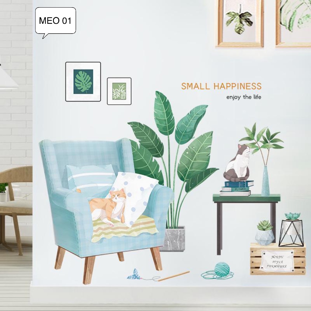 CHẬU CÂY MÈO 1 