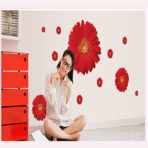 CÚC ĐỒNG TIỀN ĐỎ